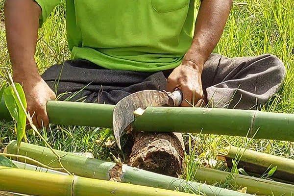 Mơ thấy chặt cây nhỏ